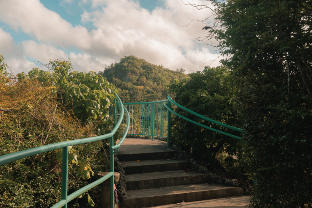 ネイチャートレイル